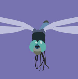 Meet your Posher, Hanne